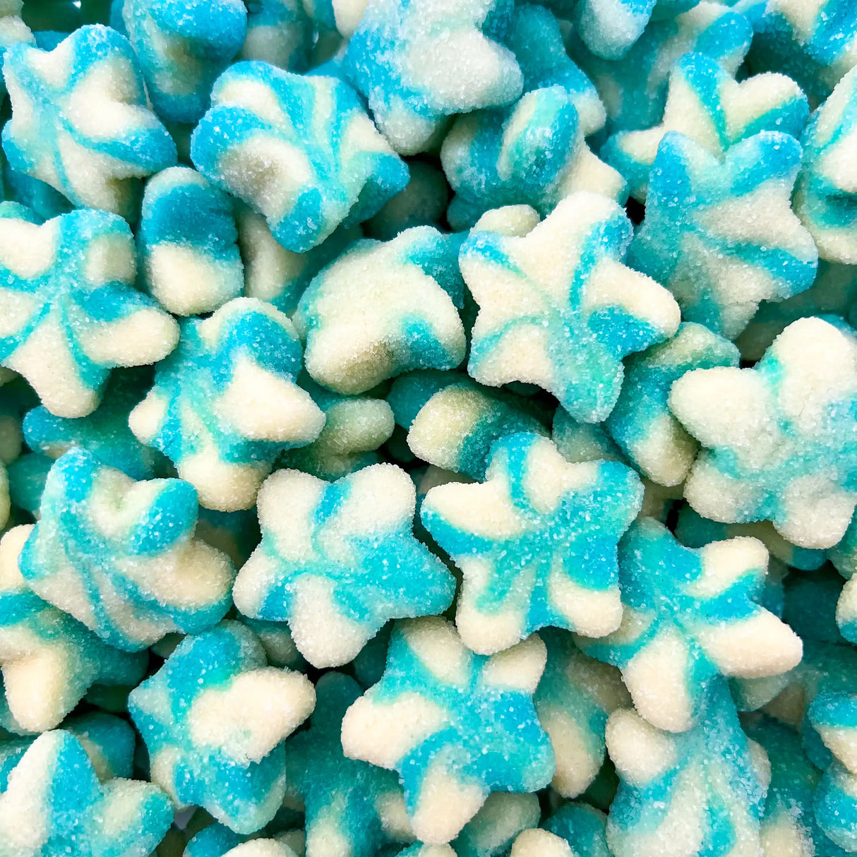 Étoile Twist Bleue Sucrée